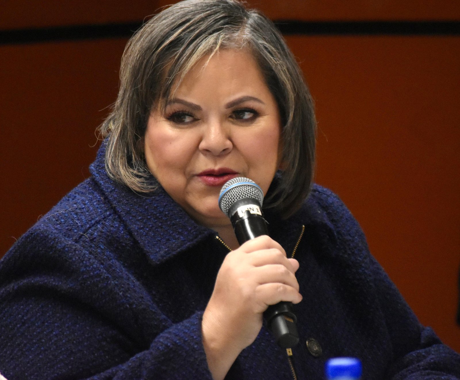 “Desde la Cámara de Diputados impulsaré Leyes más duras contra fraude financiero y otro delitos”: Evangelina Moreno